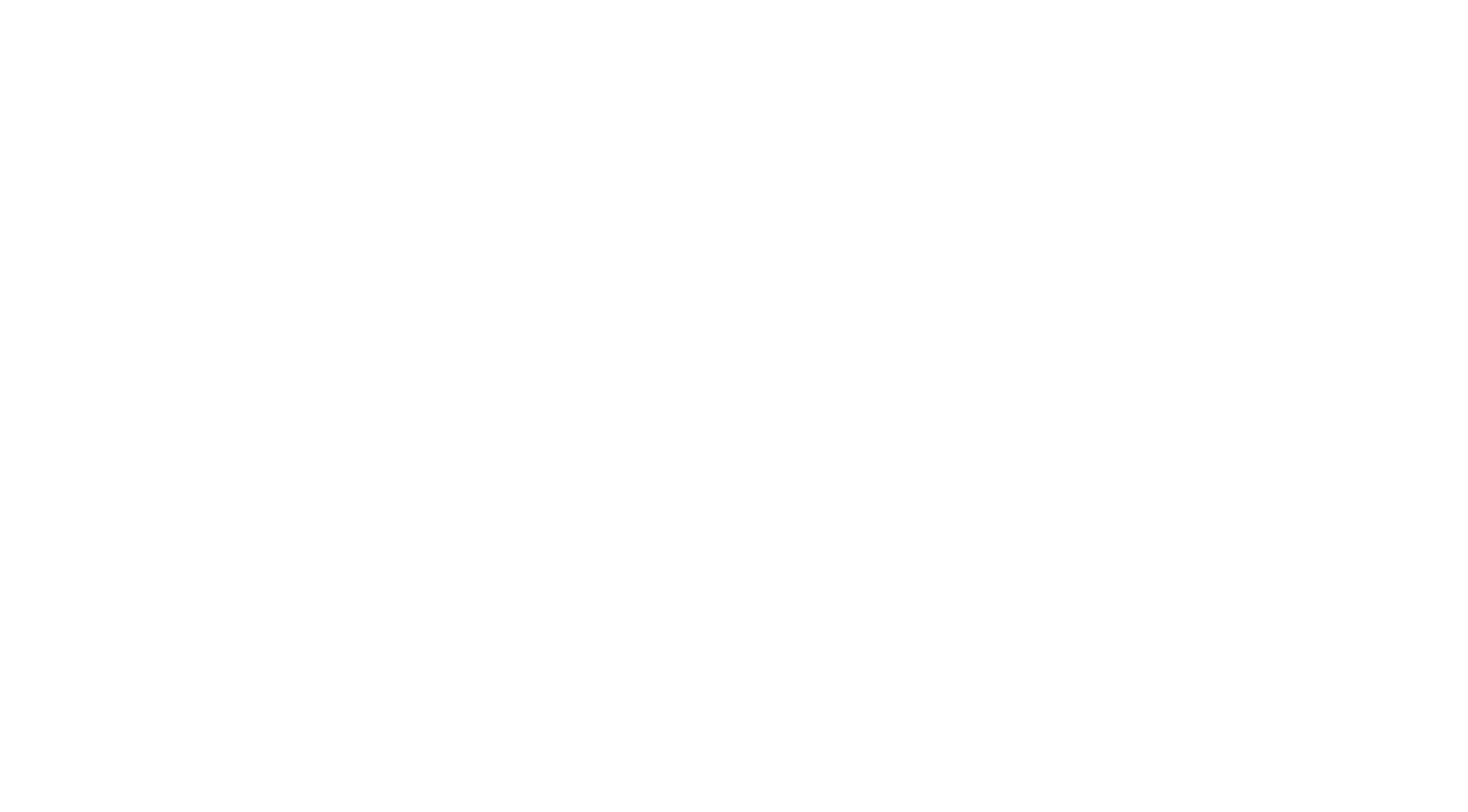 Dicolor Logo