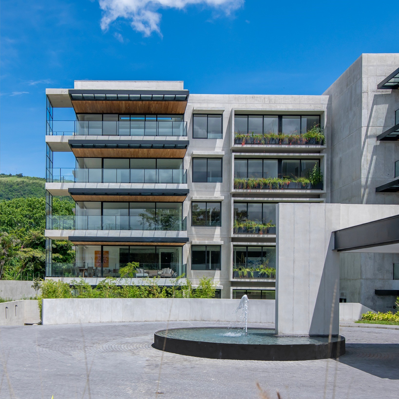 Descripción del SVG