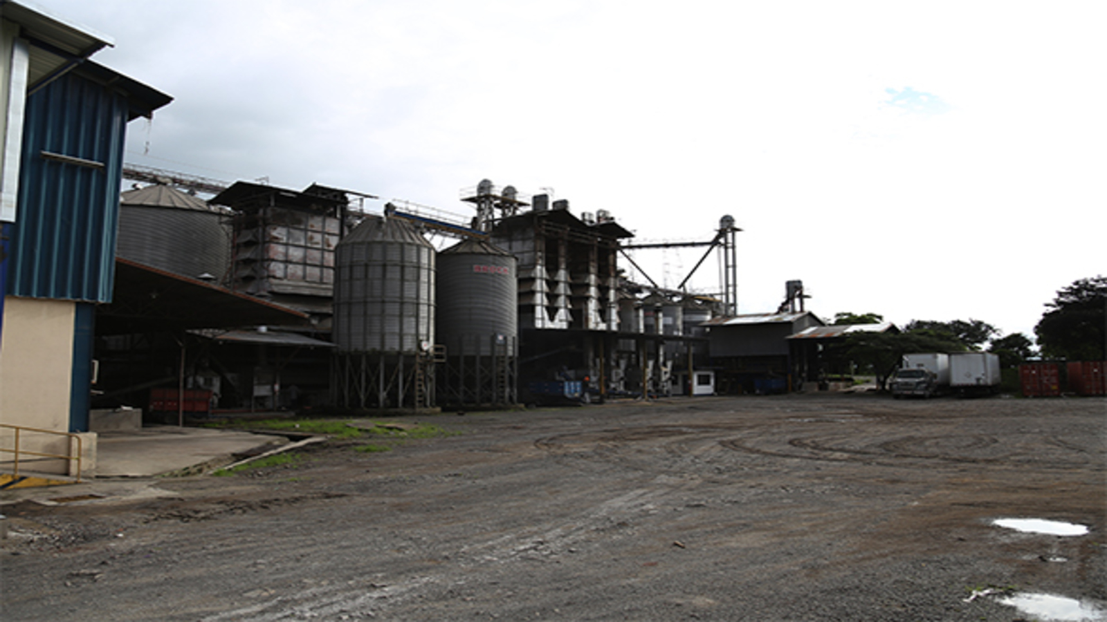 Descripción del SVG