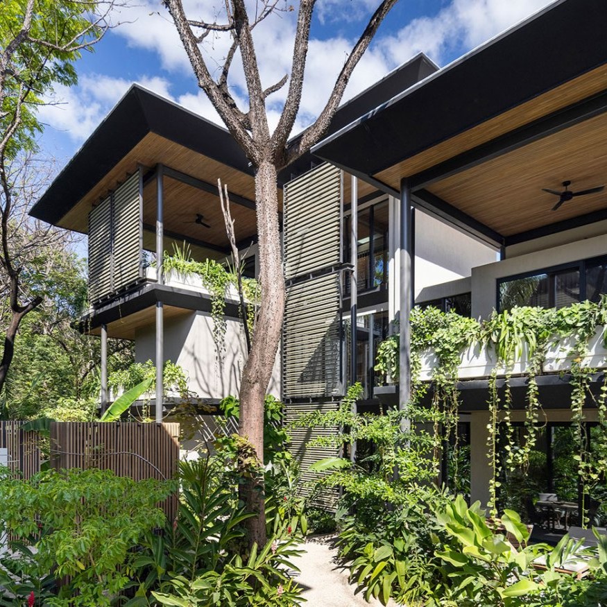 Descripción del SVG